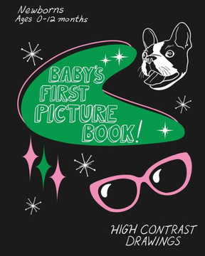 Baby's First Picture Book!: High Contrast Drawings