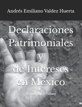 Declaraciones Patrimoniales y de Intereses en México: Actualidad y Futuro