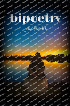 Bipoetry: a Bipolar Poetry Book