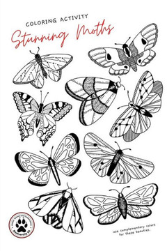 Stunning Moths: Colorize the moths