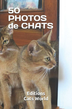 50 Photos de Chats: Race Abyssin