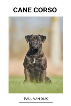 Cane corso Cane corso