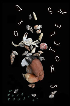 Exoskeletons: A Novella