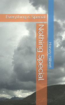 Nothing Special: Everything is Special