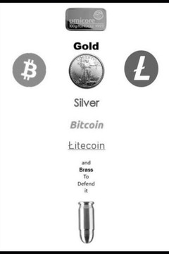 Gold, Silver, Bitcoin, Litecoin and Brass to defend it.: SilverLTC.com