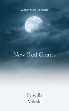 New Red Chairs
