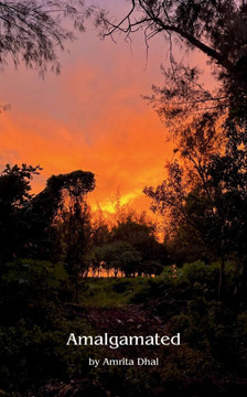 Amalgamated Amalgamated