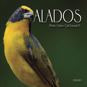 Alados: Aves en Panamá