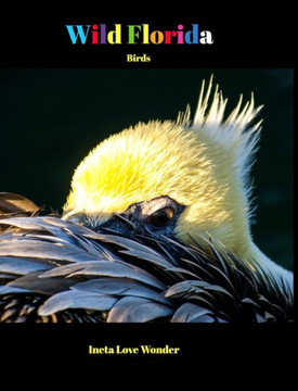 Wild Florida: Birds