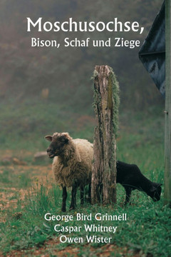 Moschusochse, Bison, Schaf und Ziege