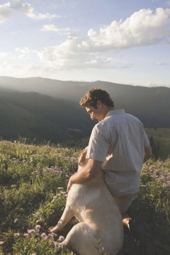 Dog God Myth: A compilation of inspirational dog stories