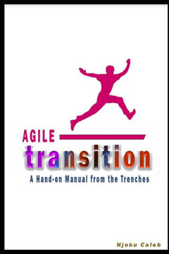 Agile Transition: A Hands-on Manual from the Trenches
