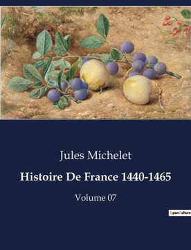 Histoire De France 1440-1465: Volume 07