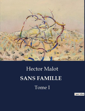 Sans Famille: Tome I