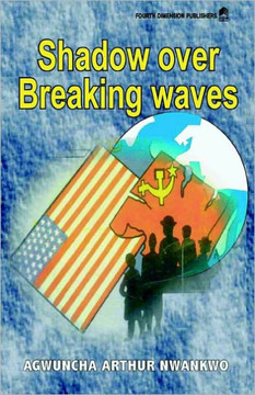 Shadow over Breaking Waves