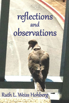 reflections and observations