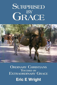 Surprised by Grace: Ordinary Christians Touched by Extraordinary Grace