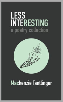 Less Interesting: a poetry collection