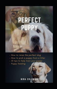 Perfect Puppy: How to raise the perfect dog: How to pick a puppy from a litter, 10 tips to help train your puppy, puppy feeding