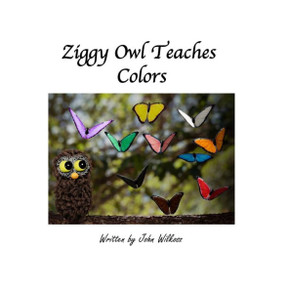 Ziggy Owl Teaches Colors