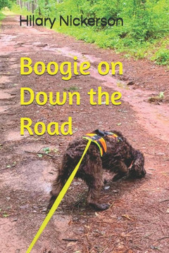 Boogie on Down the Road