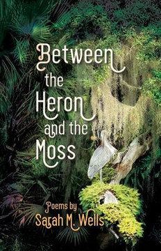 Between the Heron and the Moss (Dreamseeker Books)