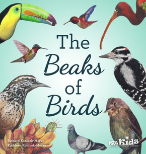 The Beaks Of Birds