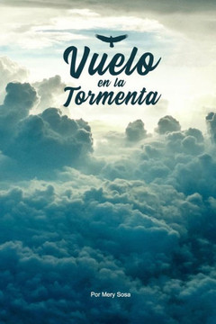 Vuelo en la Tormenta