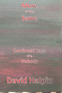 More of the Same: Continued Saga of a Nobody