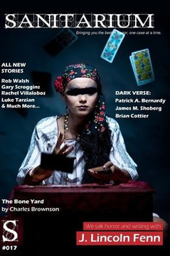 Sanitarium Issue #17: Sanitarium Magazine #17 (2014)