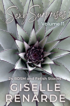 Sexy Surprises Volume 11: 24 BDSM and Fetish Stories