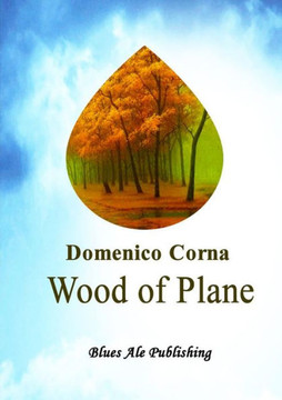 Wood of Plane Wood of Plane