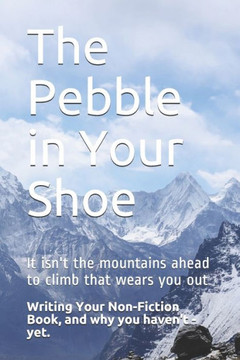 The Pebble in Your Shoe: Writing Your Non-fiction Book, and Why You Haven't - Yet.