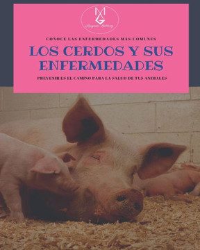 Los cerdos y sus enfermedades: Conoce las enfermedades más comunes, Prevenir es el camino de la salud de tus animales