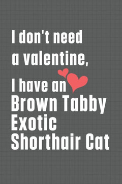 I don't need a valentine, I have a Brown Tabby Exotic Shorthair Cat: For Brown Tabby Exotic Shorthair Cat Fans
