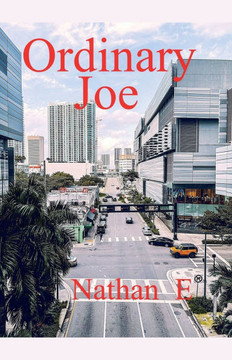 Ordinary Joe