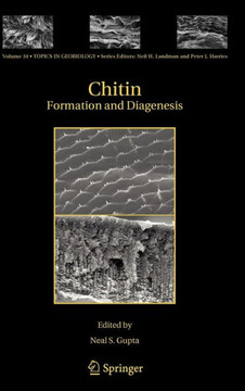Chitin: Formation and Diagenesis