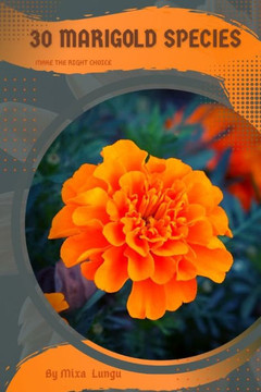 30 Marigold species: Make the right choice