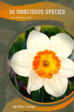 30 Narcissus species: Make the right choice