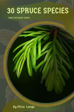 30 Spruce species: Make the right choice
