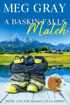 A Baskin Falls Match: Book 3 of the Baskin Falls Series
