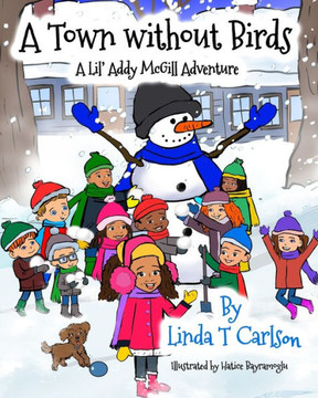 A Town Without Birds: A Lil' Addy McGill Adventure