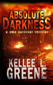 Absolute Darkness - A CME Survival Thriller