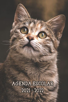 Agenda Escolar 2021 - 2022: Agenda Escolar 2021 - 2022 (1 día por página) y Planificador Mensual para Alumnos y Estudiantes - Tapa para niñas y ni