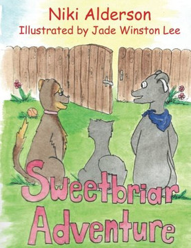 Sweetbriar Adventure Sweetbriar Adventure