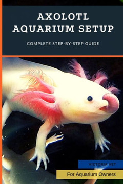 Axolotl Aquarium Setup: Complete Step-by-Step Guide