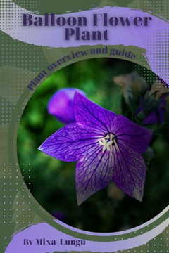 Balloon Flower Plant: Plant overview and guide