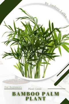 Bamboo Palm Plant: Prodigy Petal, Plant Guide