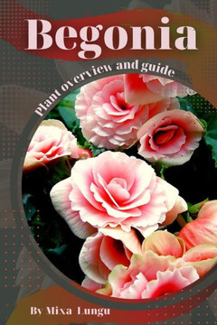 Begonia: Plant overview and guide