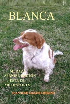 BLANCA ... Mi raza Spaniel Breton, esta es mi Historia